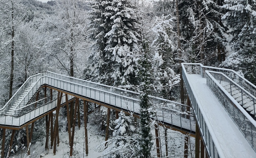 Header Ausflug Variante Winter