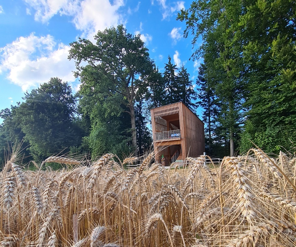 Schlaufensteg Aussichtsplattform web